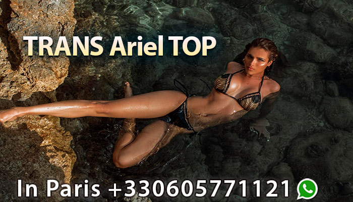 TS escort ariel sexy ts