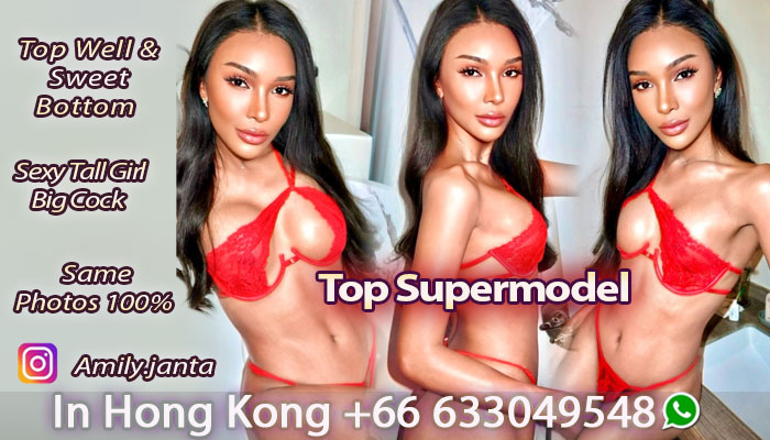 ladyboy escort Sugar Holly