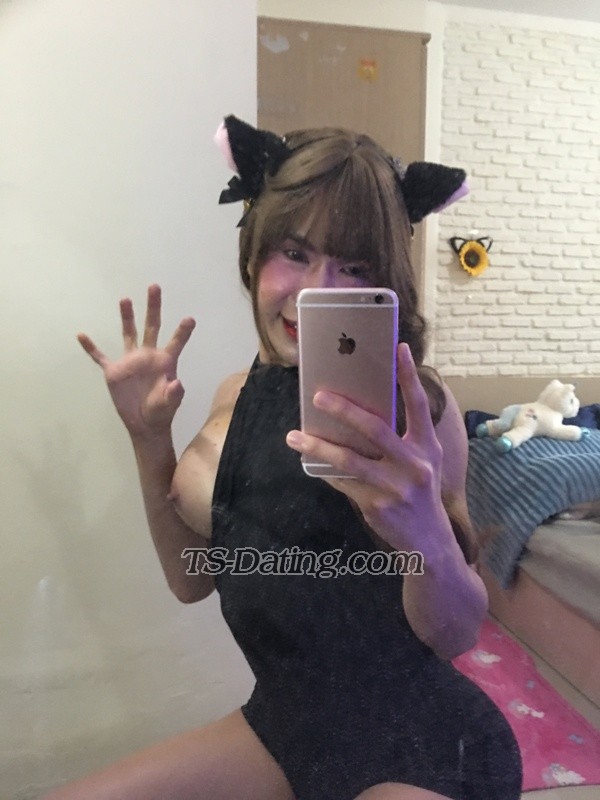 feedphoto-nirin-1505159  nirin feed photo