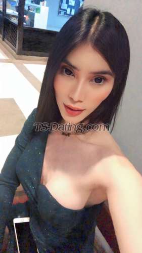 trans girl AMIRAHLOVE 6182280