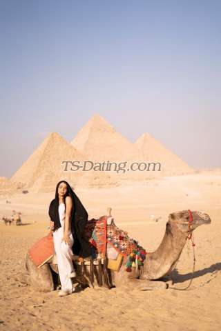 trans girl ARIANAXXL 1868370 trans girl ARIANAXXL 1868370