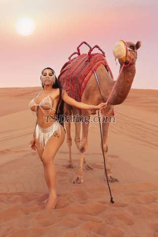 trans girl ArianaKetely 1678569 trans girl ArianaKetely 1678569