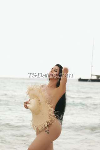 trans girl ArianaKetely 8725974 trans girl ArianaKetely 8725974