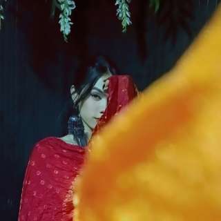 Aafree 2036935 Aafree 2036935