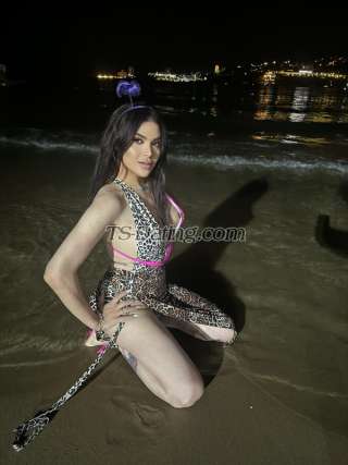 trans girl Aamar 3274821