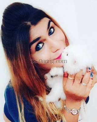 trans girl Aarohi144 6253805