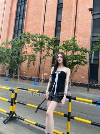 trans girl Achi036882 8734764 trans girl Achi036882 8734764