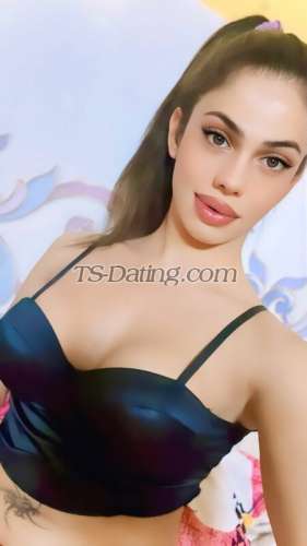 trans girl AfreenSK 5628886 trans girl AfreenSK 5628886