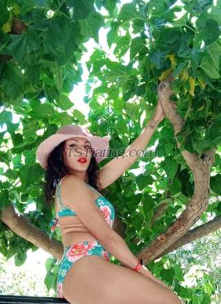 trans girl Afrodite22hot 9546320