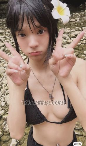 trans girl Aggie 0572742 trans girl Aggie 0572742