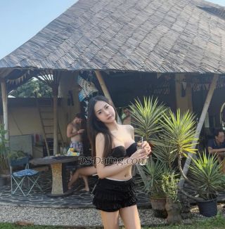 trans girl Aileenny 3634442