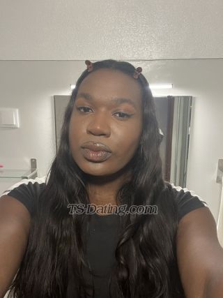 Shemale Ailicia 0935173