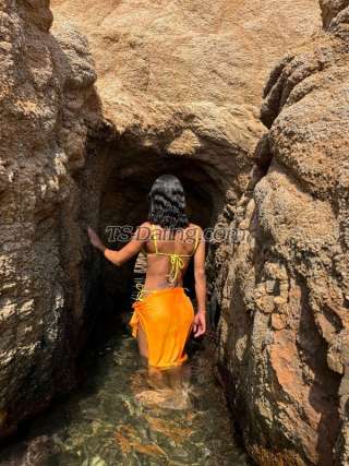 trans girl Aleja 6136345 trans girl Aleja 6136345