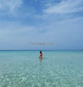 trans girl Aleja 6136437 trans girl Aleja 6136437