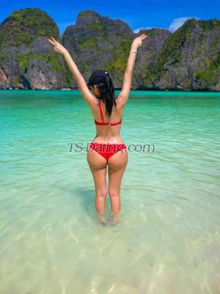 trans girl Alice19 6417177