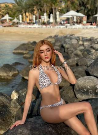 trans girl Alicearaya 3376434