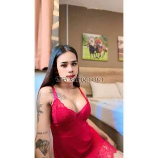 trans girl AlinaRoxy 8700272