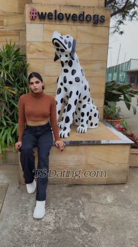 trans girl Alinababy 3959263