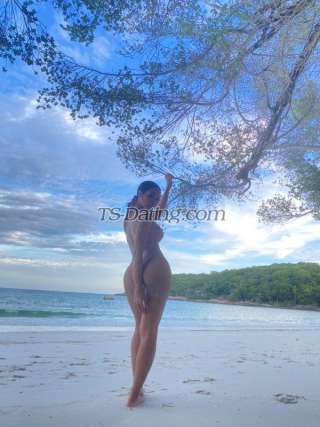 trans girl AlisaFoxy 4081887