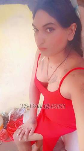 trans girl Alisha25 0933732