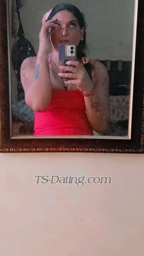 trans girl Alisha25 0933807