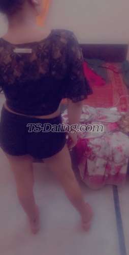 trans girl Alisha25 2648839