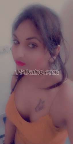 trans girl Alisha25 3527530