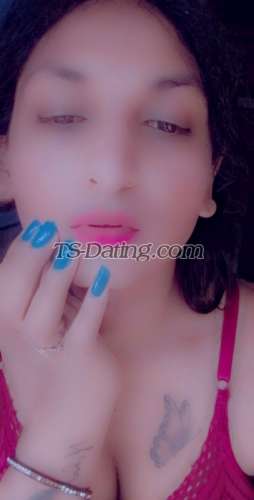 trans girl Alisha25 4184230