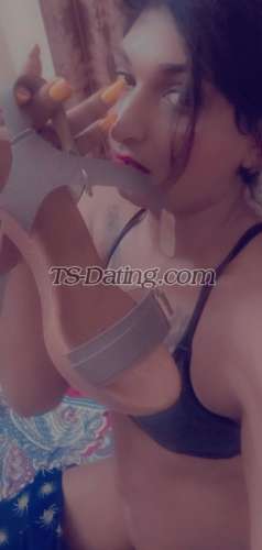 trans girl Alisha25 5802515