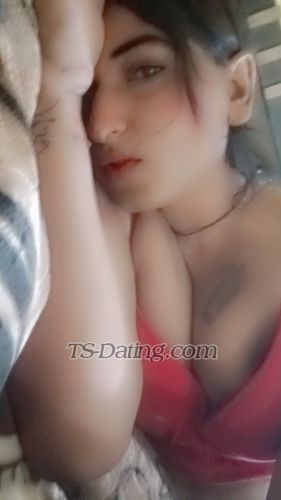 trans girl Alisha25 6847236 trans girl Alisha25 6847236