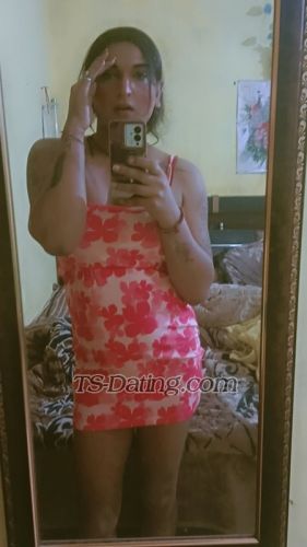 trans girl Alisha25 7092829 trans girl Alisha25 7092829