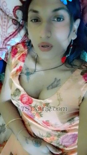 trans girl Alisha25 7906191