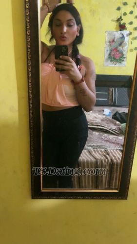 trans girl Alisha25 8367014