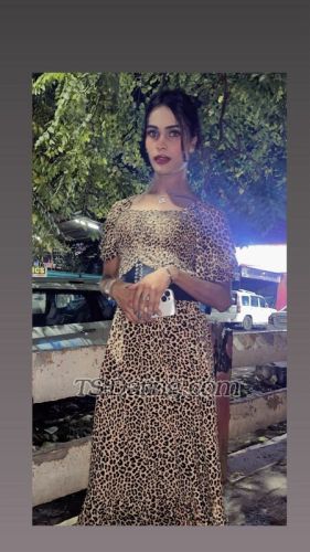 trans girl Alishu01 0563911