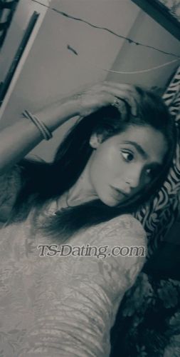 trans girl Alishykhan 0884269 trans girl Alishykhan 0884269