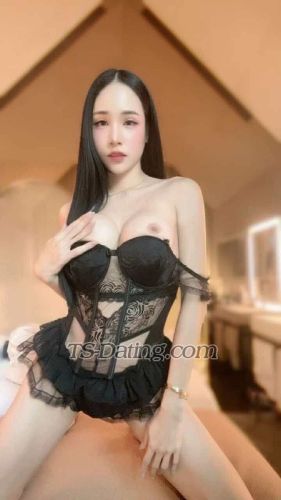 trans girl Allmily 6186657