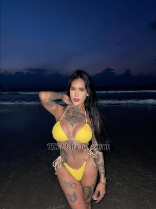 trans girl AmadoraFox 3042131