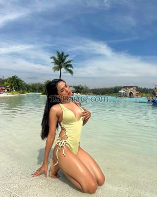 trans girl Amanda27 2231277