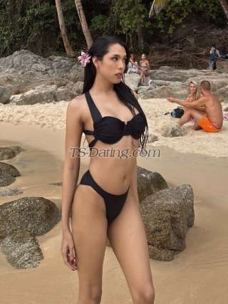 trans girl Amanda27 7727595