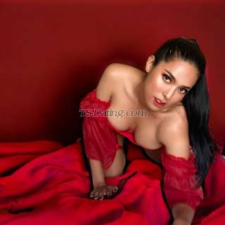 trans girl Amanda27 8896257