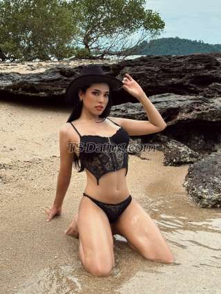 trans girl Amanda27 8917238