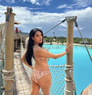 trans girl Amanda27 9691959