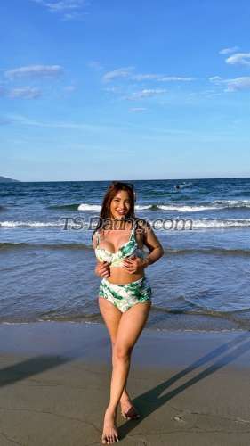 trans girl AmandaBabe 3234471