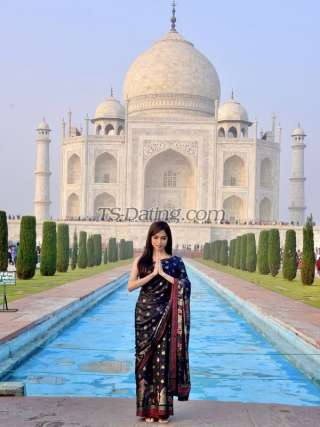 trans girl AmandaGrey 4271565