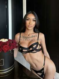 Amanda K Dubai Transex Are you looking for someone feminine yet fully functional? That can top can be bottom can cum too? Clean and very hygienic? Well-mannered, educated & passionate TS? Look no further, you found the right one for you. 💋

Photos are REAL Feel free to video call to verify.

& If you really want to have an unforgettable moment with no rush experience and nice companionship, just contact me and we can have a good time together and much more.

Don't hesitate to message or call me anytime. 🤍
Camshow ✅ 
Crypto Payment ✅