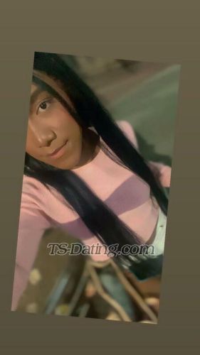 trans girl AmandaReyes 1019497 trans girl AmandaReyes 1019497