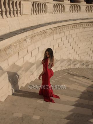 trans girl Amayla 8620252