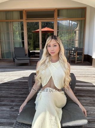 trans girl AmberBella 1569431 trans girl AmberBella 1569431