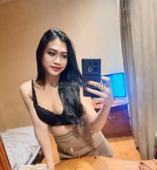 trans girl Ameliaputrii 1245620