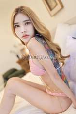 Ameliasuasa Bangkok Transex Can I help you make your night special and better? 😘 My cock 7 inch 👍🏻✅

🔰WhatsApp: +66973979555

🔰Line : noohang96

🔰 Telegram : @kitty99966 
 Hello, please call me Kitty. 🥰
I am a world famous porn star ⭐️6M Views‼️
I have a clean personality and a nice smell. 
Look like lady small body  , It smells really good.
Beautiful figure, good figure, white skin good 
✅My pictures are 100% like me. ✅

I have beautiful feet and hands with beautiful, mesmerizing nails.♥️ 
😎Good service everything 💯
📌You will definitely be impressed with the best service in your life. 💯 Then you will definitely come back to see me again. 😉

❤️ I'm both bottom&Top
♥️ Cock White skin is long hard & big
♥️ Have big cum💦

I can do everything #incall #outcall 
